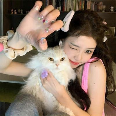 赖猫的狮子倒影
